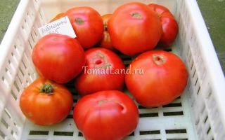 Хлебосольный