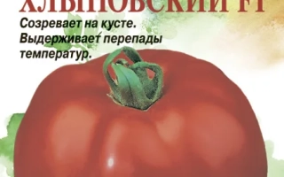 Семена томата Хлыновский на красном фоне с изображением спелого помидора