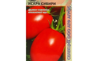ISKRA SIBIRI