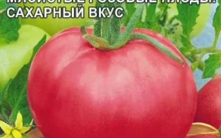 Іванович