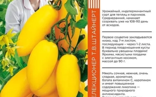 Кандинский