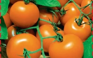 Карамель Оранжевая