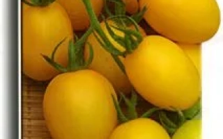 Пакет семян томата Карат с изображением желтых плодов