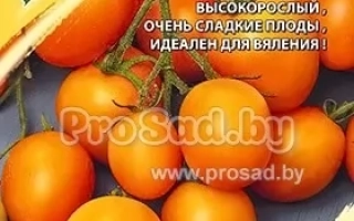 Каскад Золотой