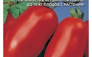 Пакет семян томата Каскадер с изображением красных плодов