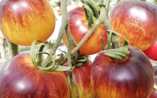 Китайский Фонарик