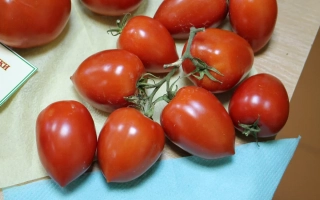 Красные томаты сорта Коралл на деревянной поверхности