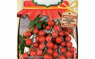 Коралловые Бусы