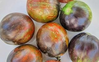 Космическое Затмение