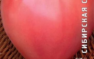 Краса России