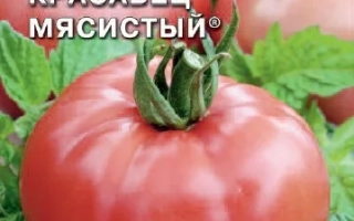 Красавец Мясистый