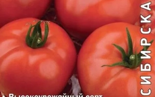 Красный Банкир