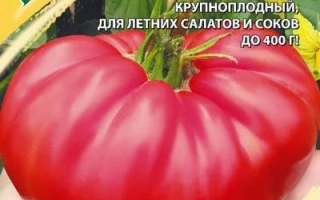 Красный БЫК