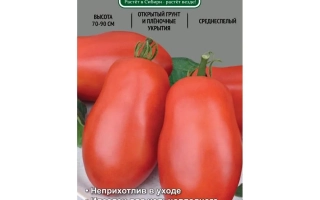 Красный Молодец