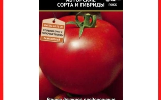 Кубанский Рассвет