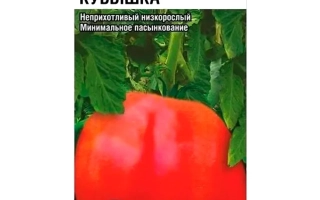 Пакет семян томата Кубышка с изображением красного перца