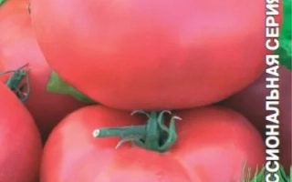 Семена томата сорта Кукла на упаковке