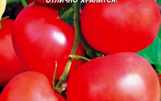 Пакет семян томата КУПЕЦ F1 с изображением красных плодов