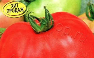 Пакет семян томата Лакомка с изображением красного помидора