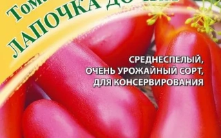 Лапочка Дочка