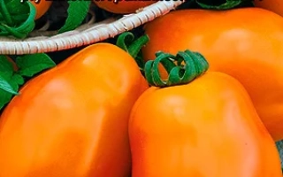 Лимонные Дольки