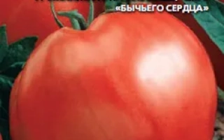 Любящее Сердце