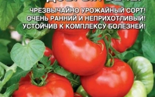 Людмила Добрый Вечер