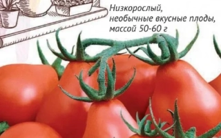 Пакет семян томата ЛЮДОВИК XVI - ЛЮДОВИК XVII