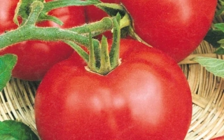 Лунная Соната