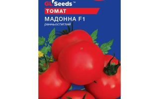 Пакет семян томата Мадонна F1