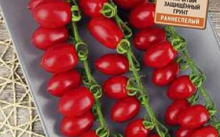 Малиновый Фонтан