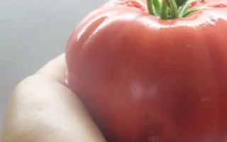 Малиновый Глобус