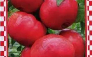 Малиновый Король