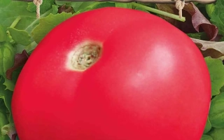 Малиновый МЕД