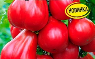 Малиновий Силач