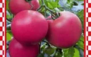 Малиновый Закат