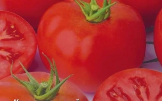 Маргарита Блюз