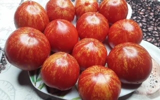 Красные помидоры сорта Мария на тарелке