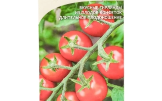 Мармеладки