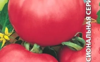 Семена томата Мажор на упаковке с изображением красных плодов