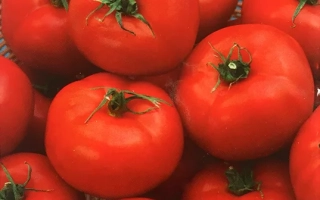 Мрія Садівника