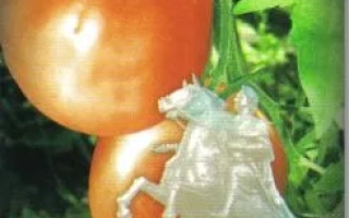 Пакет семян томата Медный всадник с изображением помидоров и статуи всадника