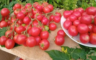 Медовый Миллион