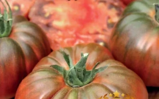 Микадо Шоколадный