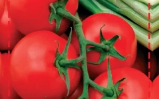 МОЯ Радость