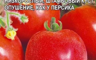 Мохнатый Шмель