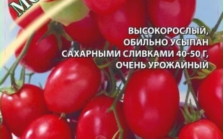 Монисто Розовое