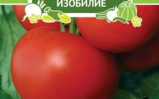 Знахідка Дачника