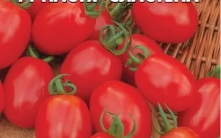 Настёна Сластёна