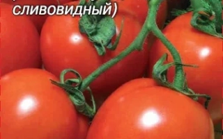 НЕПАС 13
